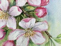 "Blossom Time"