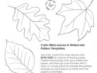 "Color-Filled Leaves" Basic Watercolor