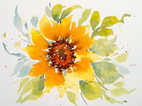 "A Splash of Sunshine" Sunflower in Watercolor