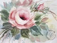 "Laura's Rose" in Watercolor