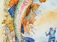 Catch of the Day - Trout