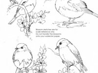 "Bluebirds and Blossoms"
