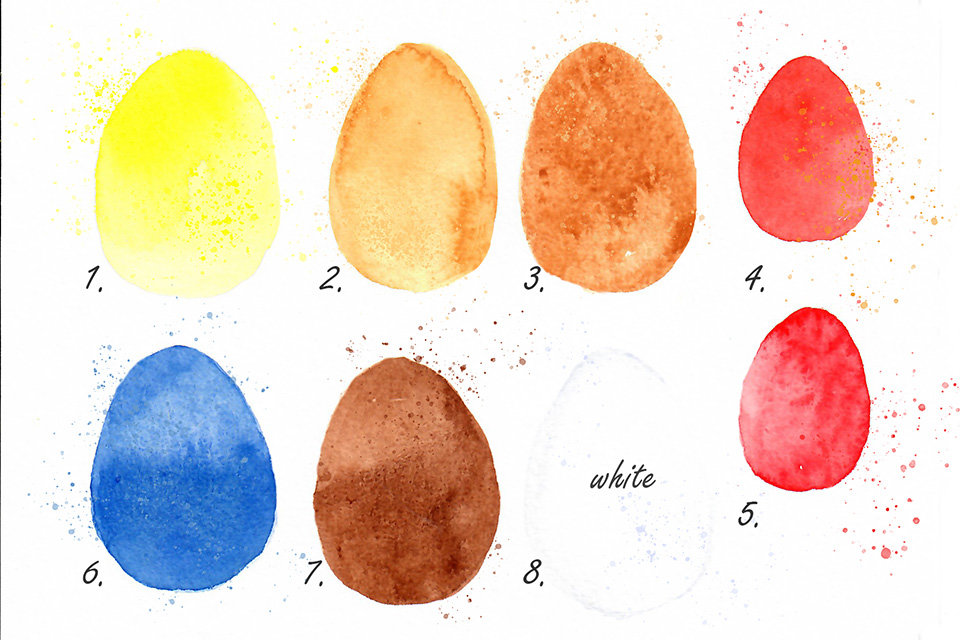"Mother Hen" in Watercolor