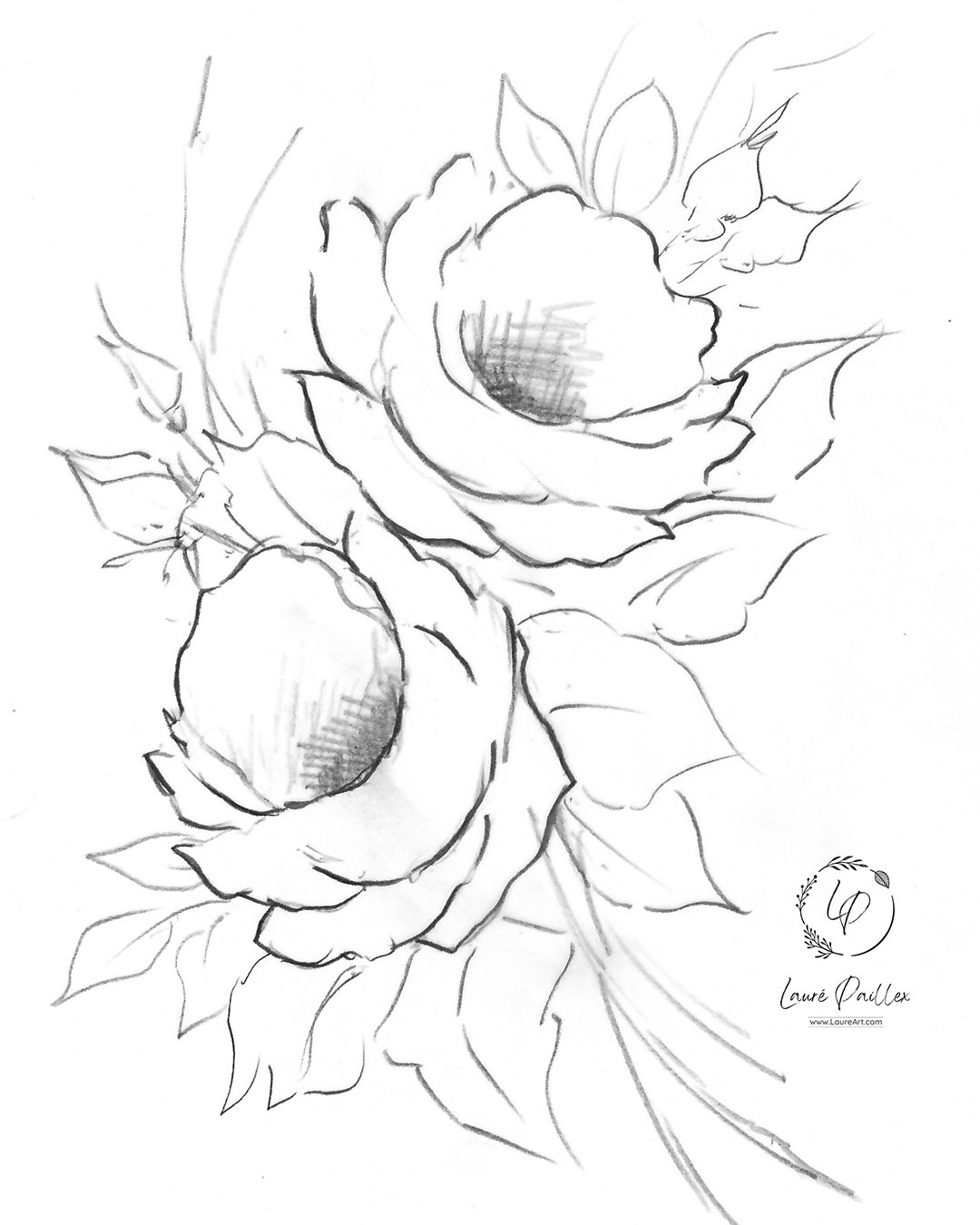 "Laura's Rose" in Watercolor