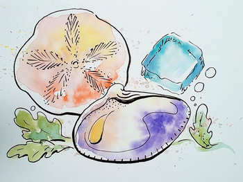 "Shell Seekers" Collection