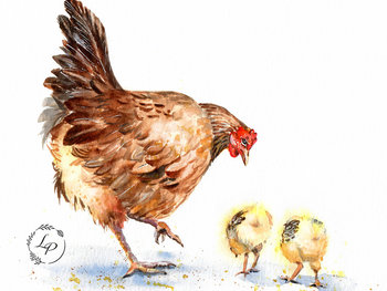 "Mother Hen" in Watercolor