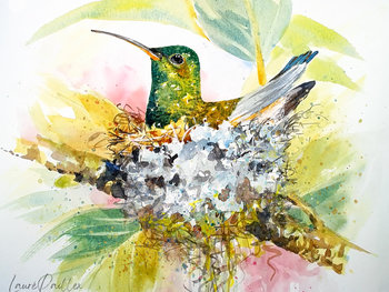 Hummingbird Nest"