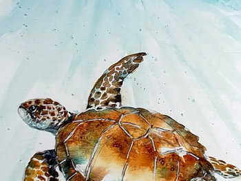 "Sea Turtle" in Watercolor