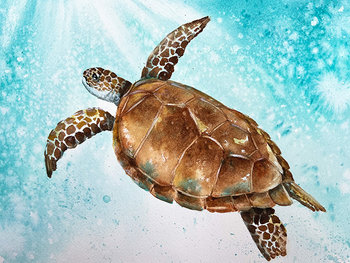 "Sea Turtle" in Watercolor