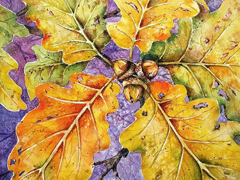 "Autumn Oak & Acorns" in Watercolor
