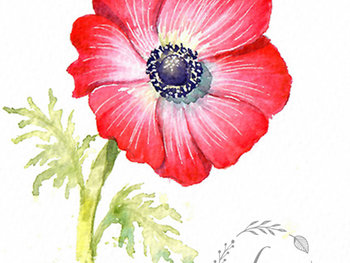 "Old Glory" Floral Study