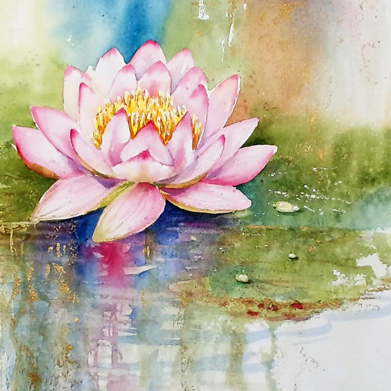 "Waterlily" in watercolor by Lauré Paillex 2022