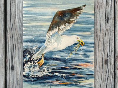 Watercolor Slide Tutorials (E-packets)