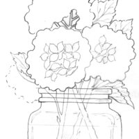 "Hydrangeas in a Glass Jar"