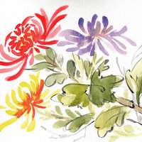 "Oriental Mums" in Watercolor