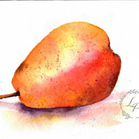 "Winter Pears"  Still Life in Watercolor