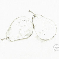 "Winter Pears"  Still Life in Watercolor