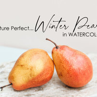 "Winter Pears"  Still Life in Watercolor