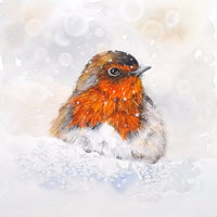 "The Snowbird"
