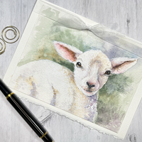 "Little Lamb"
