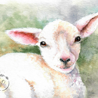 "Little Lamb"