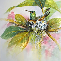 Hummingbird Nest"