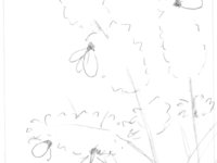 "Bees and Lavender"
