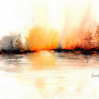 "Misty Cove"