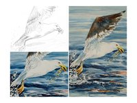 "Take Flight"