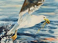 "Take Flight"