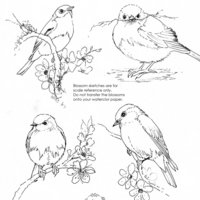 "Bluebirds and Blossoms"