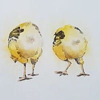"Mother Hen" in Watercolor