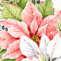 "Pink Poinsettias"