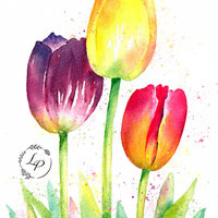 "My Tulip Garden" in Watercolor