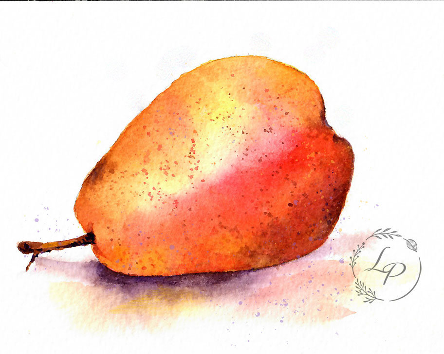 "Winter Pears"  Still Life in Watercolor