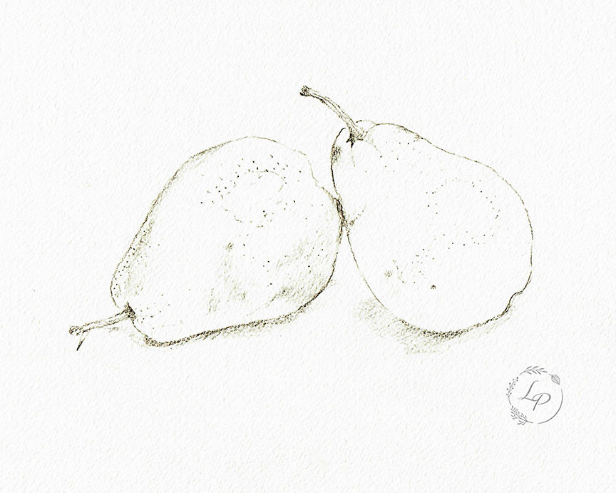 "Winter Pears"  Still Life in Watercolor