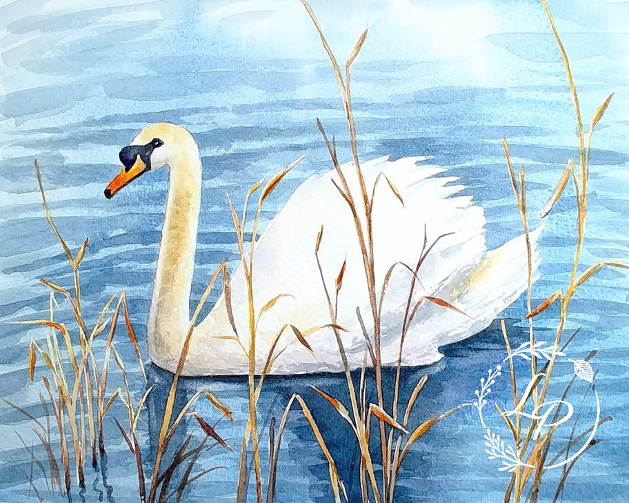 "Silent Swan"  in Watercolor