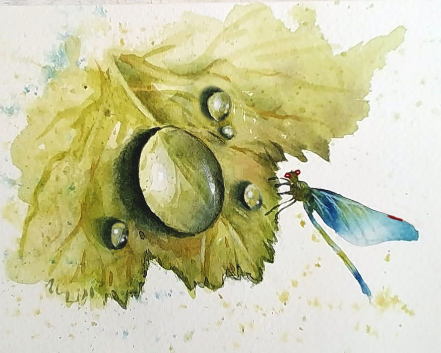 "Dewdrops & Dragonflies" in Watercolor