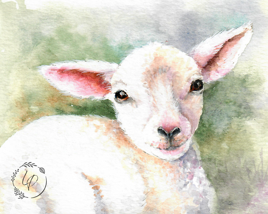 "Little Lamb"