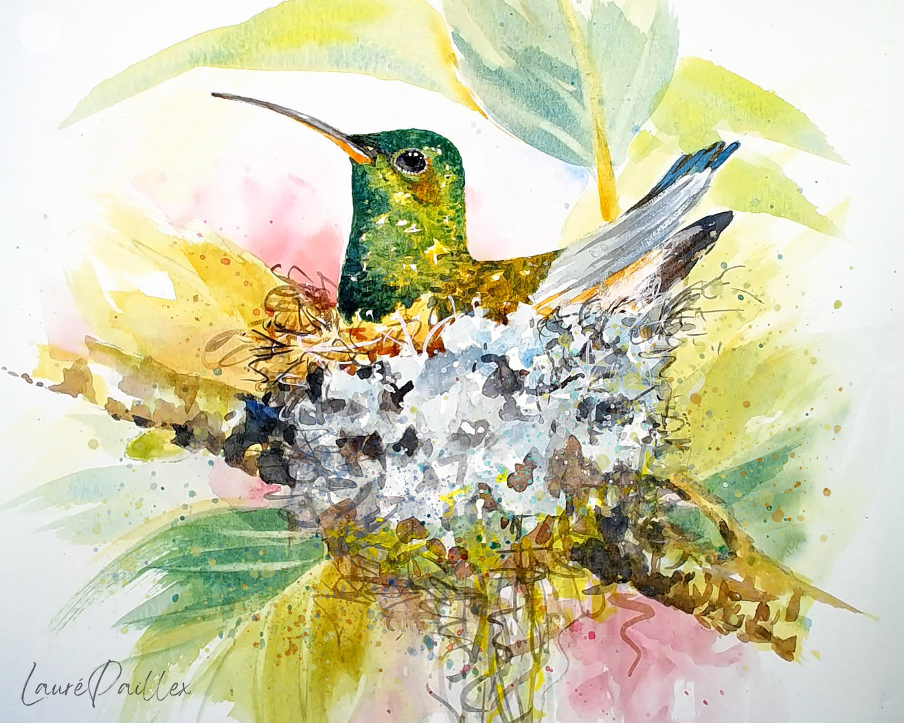 Hummingbird Nest"