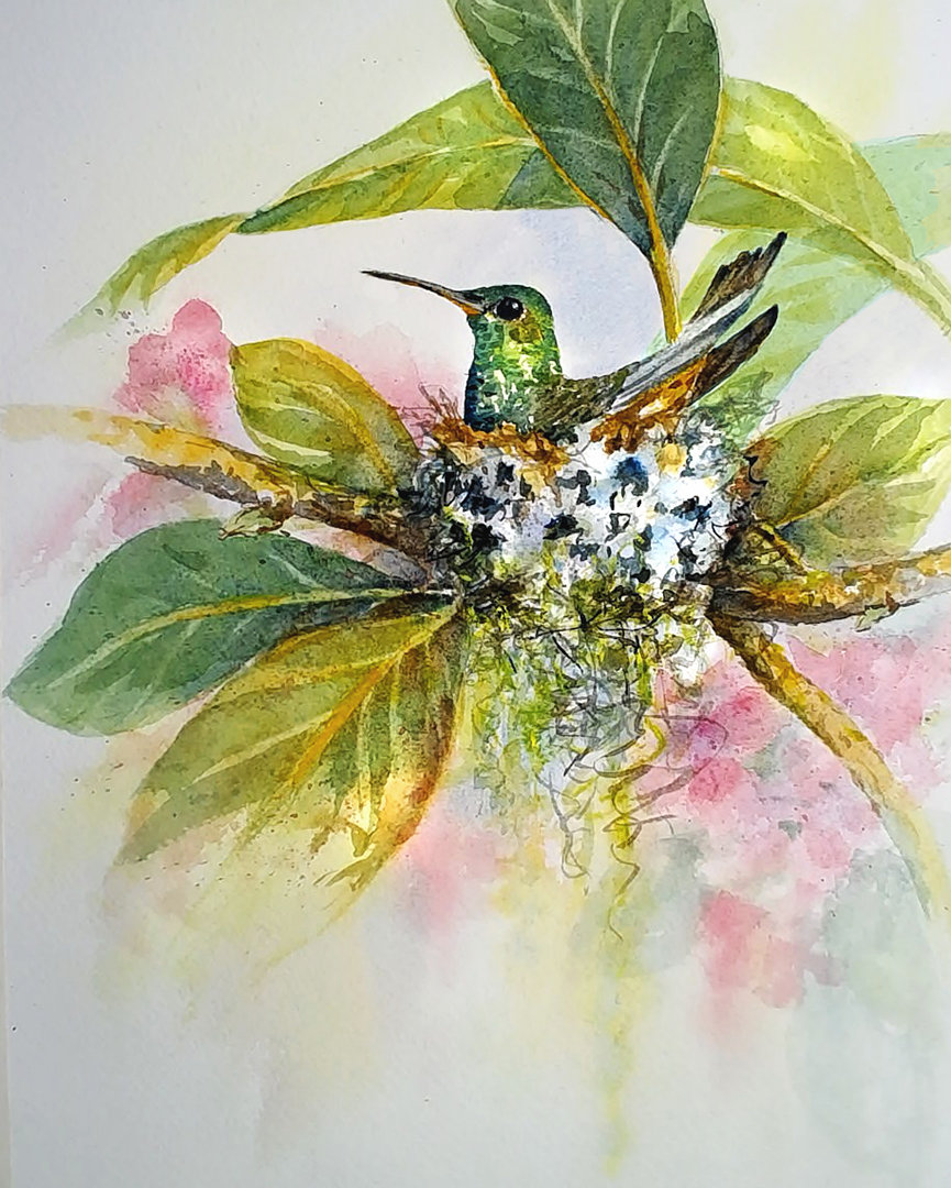 Hummingbird Nest"