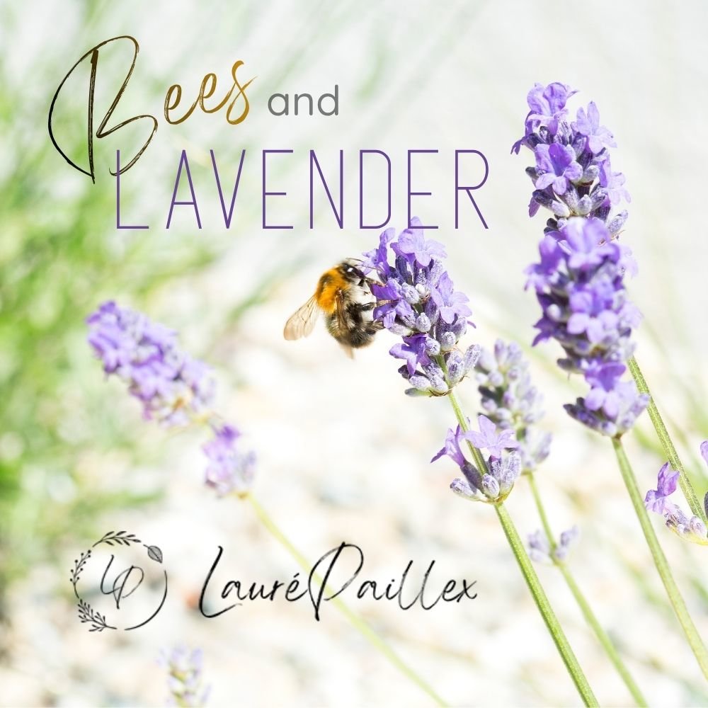 "Bees and Lavender"