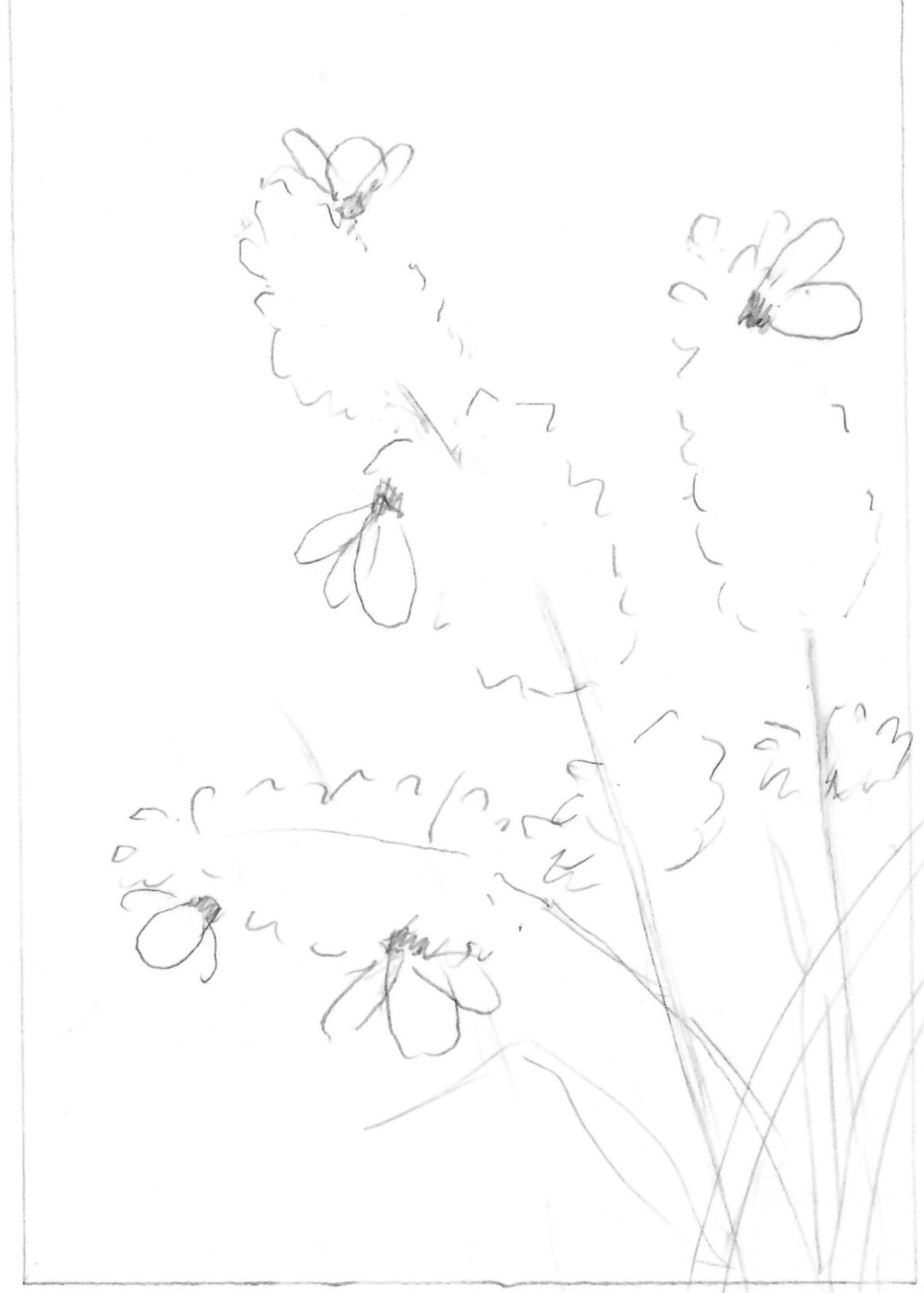 "Bees and Lavender"