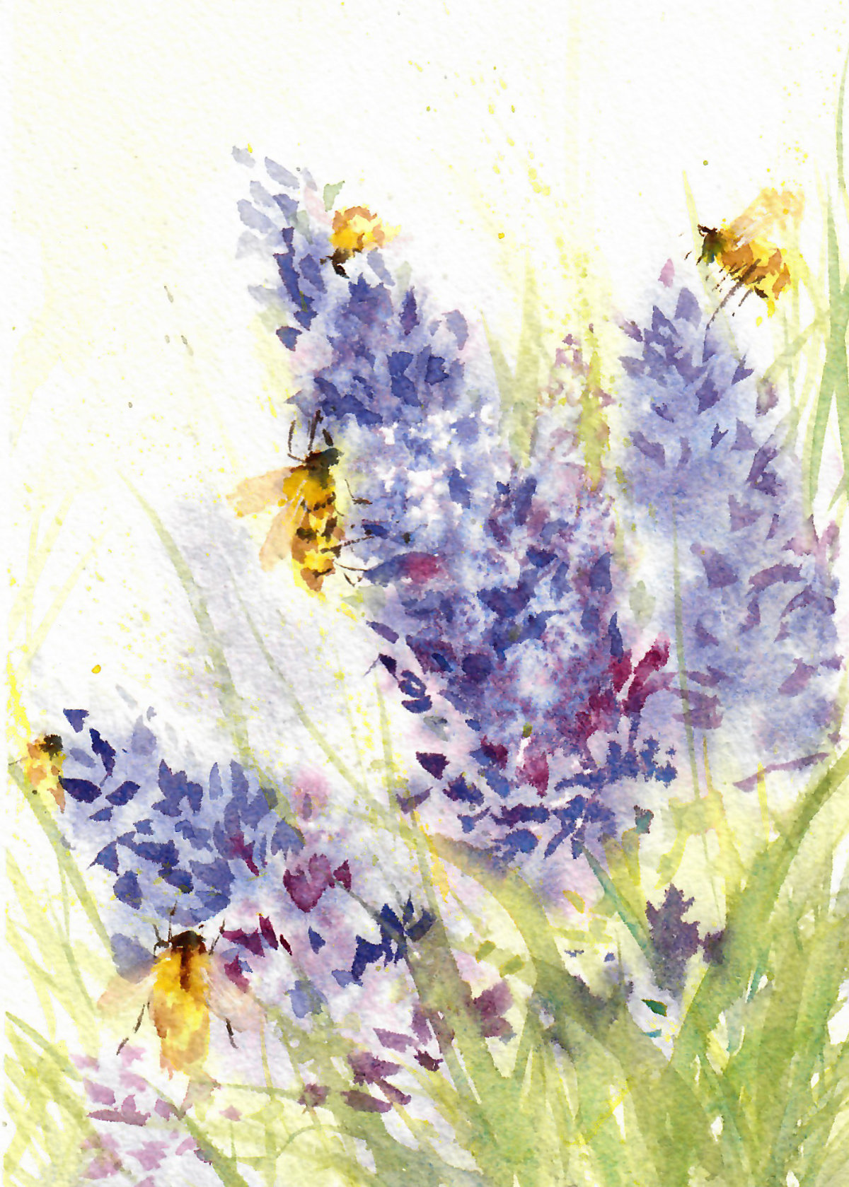 "Bees and Lavender"