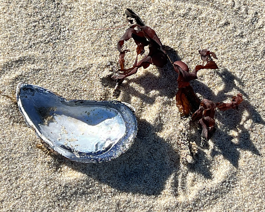 Shadows on the Sand