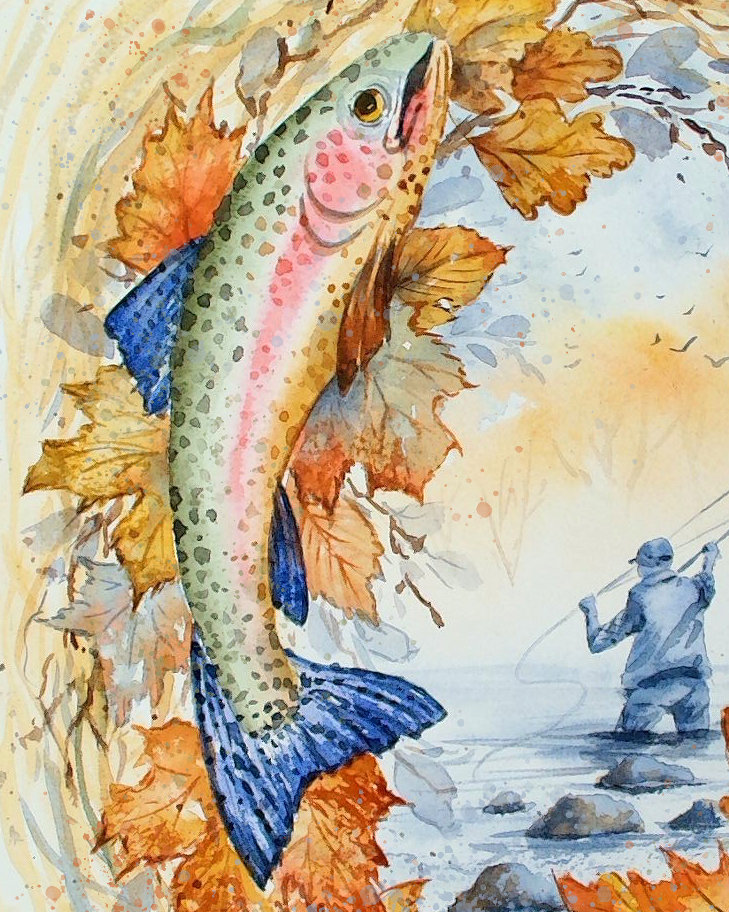Catch of the Day - Trout