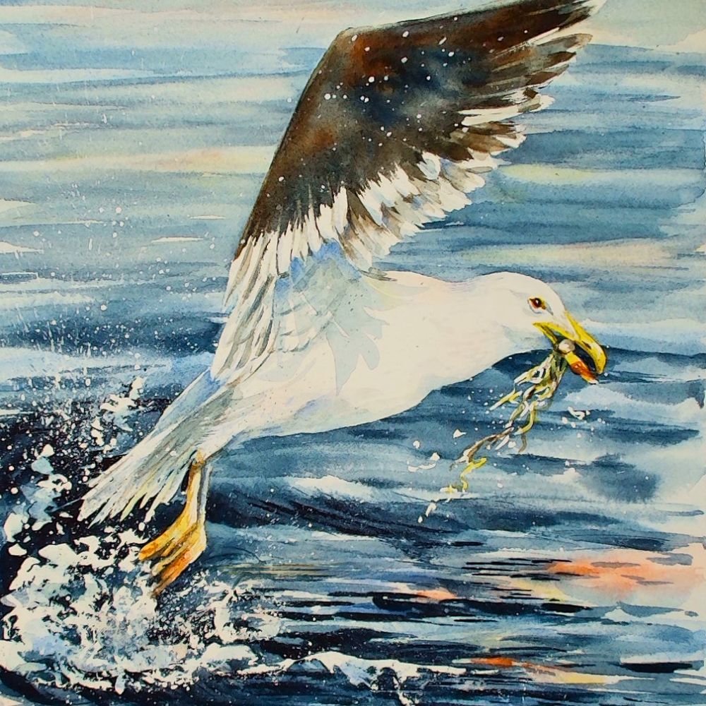 "Take Flight"