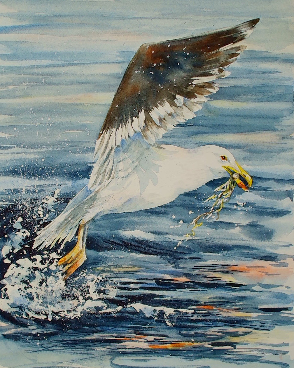 "Take Flight" - Sea Gulls