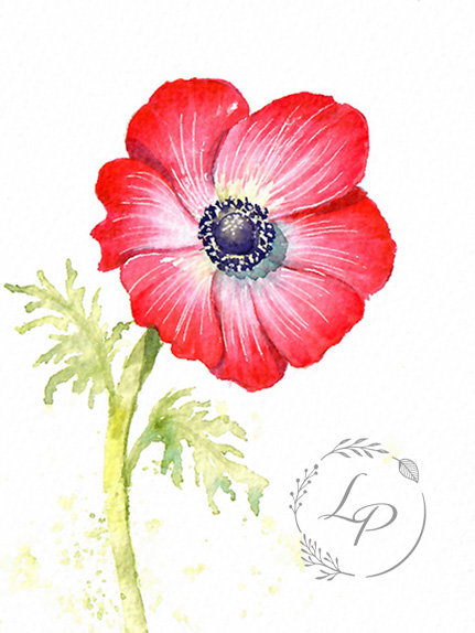 "Old Glory" Florals