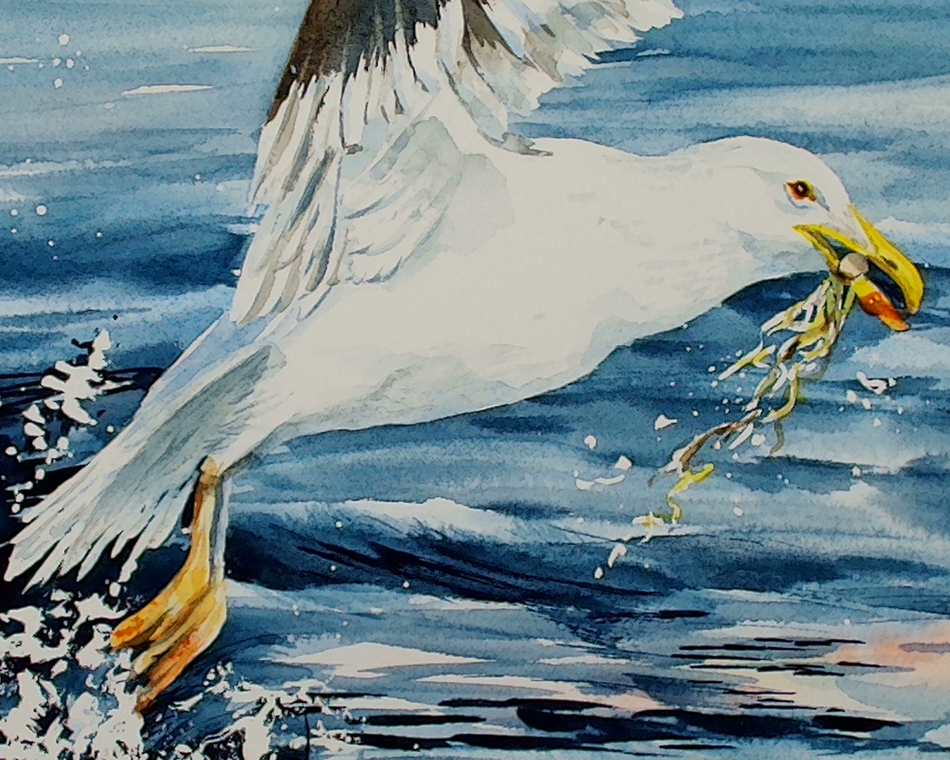 "Take Flight" - Sea Gulls
